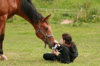 /album/kontakty/snimek-095-jpg/